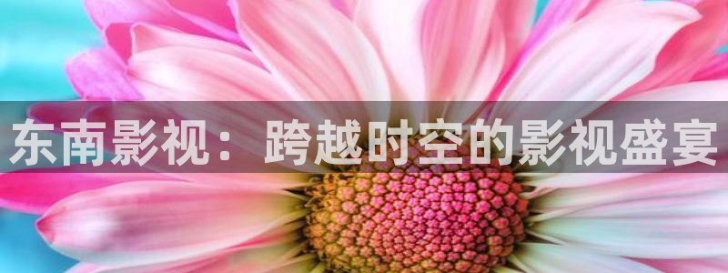 yy青苹果影院在线观看