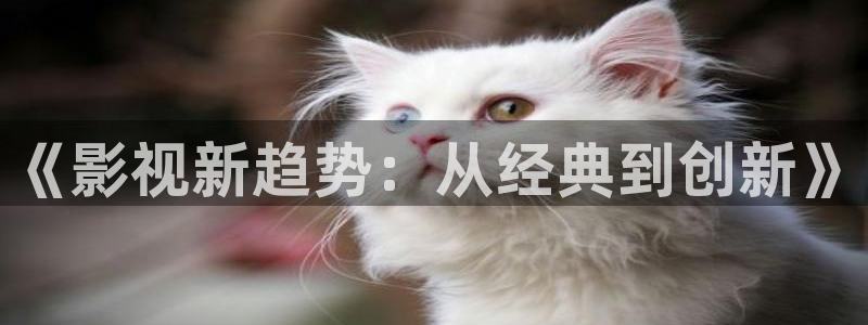 6080青苹果影视