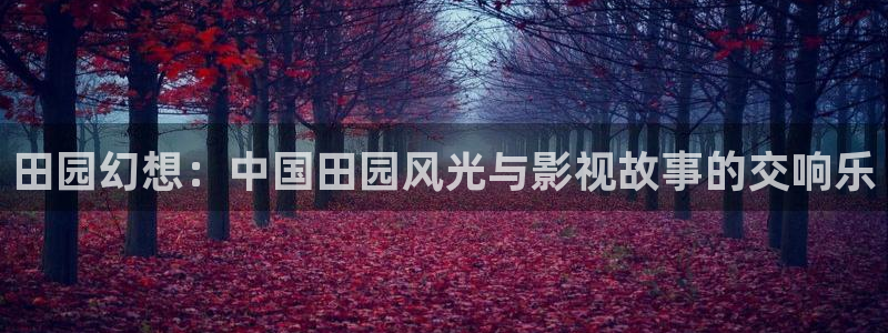 青苹果新视觉影视