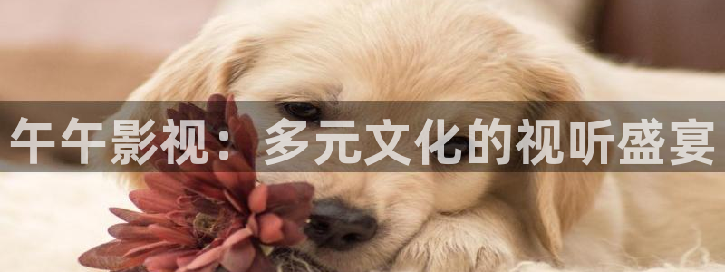青苹果影院手机在线