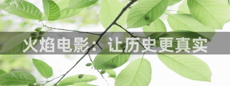 6090电影网青苹果
