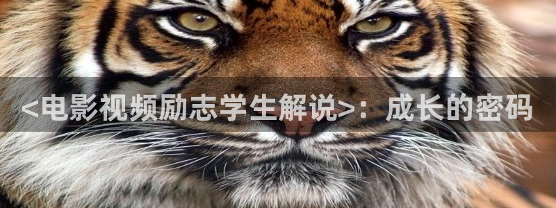 青苹果乐园在线观看免费影院电视剧