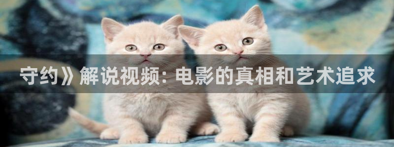 新视觉6080青苹果影院