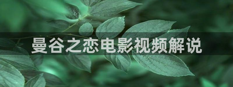 青苹果乐园全集免费观看