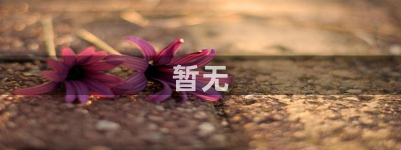4800yy青苹果影院