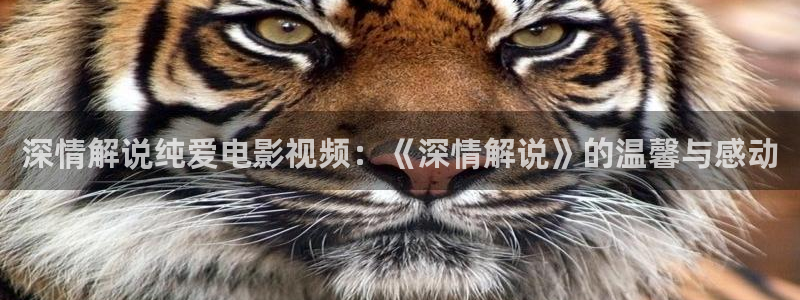 6080青苹果影视：深情解说纯爱电影视频：《深情解说》的温馨与感动