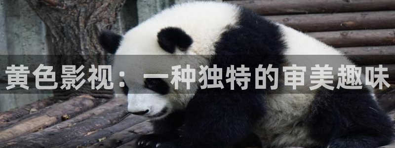 青苹果乐园在线电视剧免费播放：黄色影视：一种独特的审美趣味