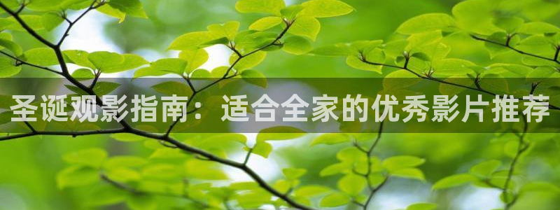 yy4138首播影院青苹果：圣诞观影指南：适合全家的优秀影片推荐