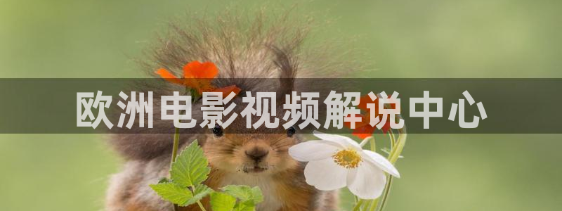 青苹果6090电影院：欧洲电影视频解说中心
