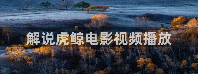 青苹果乐园影院免费观看电视剧电影：解说虎鲸电影视频播放