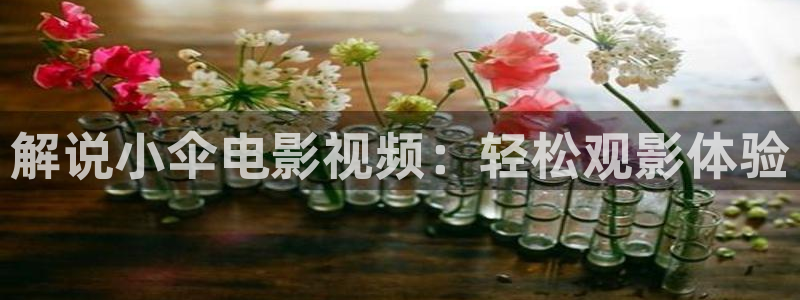 青苹果影院久久：解说小伞电影视频：轻松观影体验