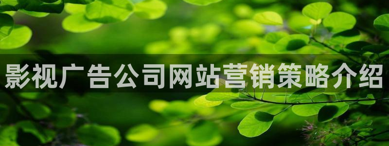 电影青苹果：影视广告公司网站营销策略介绍