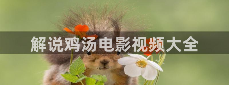 4800yy青苹果影院：解说鸡汤电影视频大全