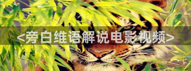 青苹果殇情影院：<旁白维语解说电影视频>