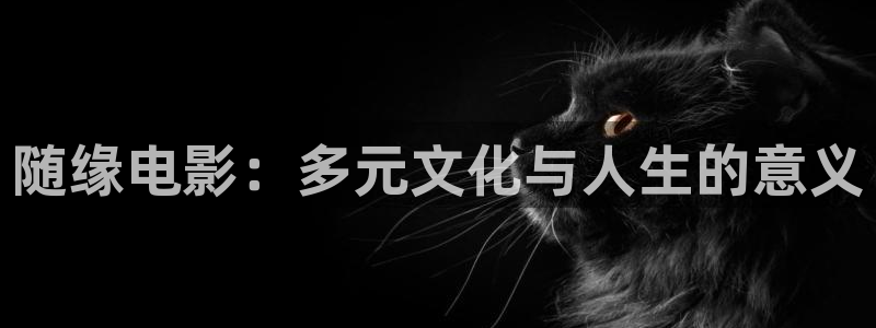 青苹果影院网站：随缘电影：多元文化与人生的意义
