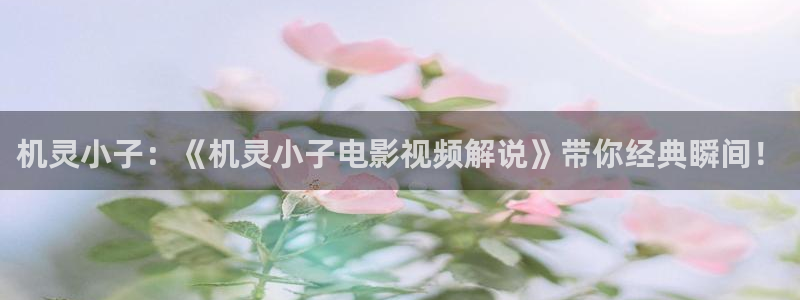yy4410青苹果影院：机灵小子：《机灵小子电影视频解说》带你经典瞬间！