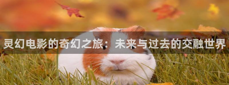 五八青苹果影院：灵幻电影的奇幻之旅：未来与过去的交融世界