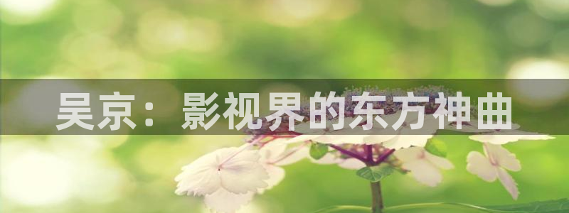 青苹果乐园yy4480免费：吴京：影视界的东方神曲