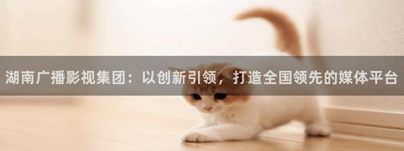 青苹果手机影院：湖南广播影视集团：以创新引领，打造全国领先的媒体平台