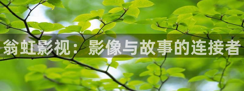 青苹果电影免费完整版在线观看：翁虹影视：影像与故事的连接者