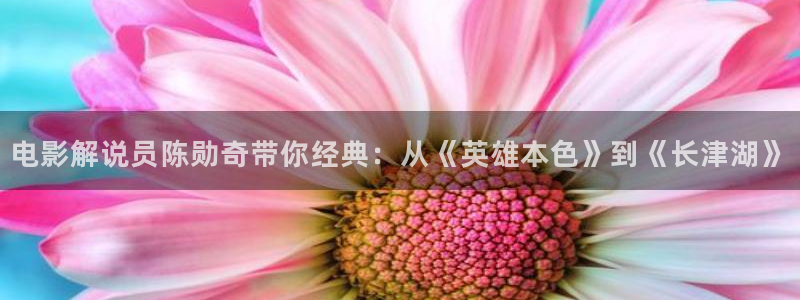 青苹果在线电影免费观看：电影解说员陈勋奇带你经典：从《英雄本色》到《长津湖》