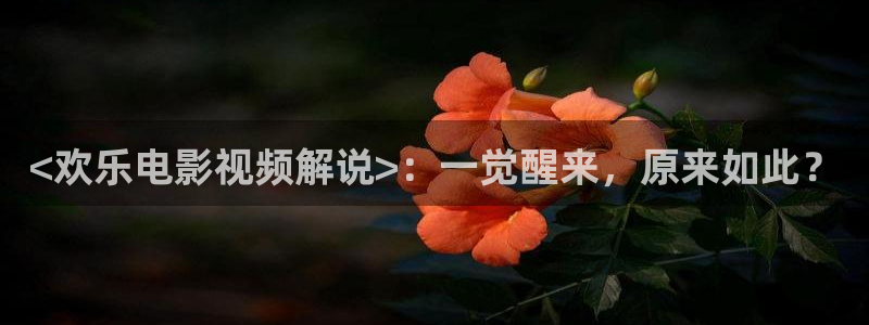 青苹果影视午夜：<欢乐电影视频解说>：一觉醒来，原来如此？