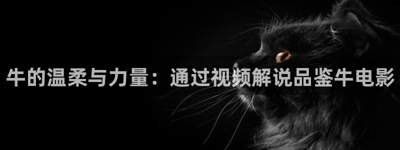 青苹果乐园免费观看电视剧全集在线：牛的温柔与力量：通过视频解说品鉴牛电影
