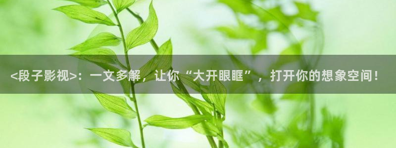 yy6090青苹果影视院：<段子影视>：一文多解，让你“大开眼眶”，打开你的想象空间！