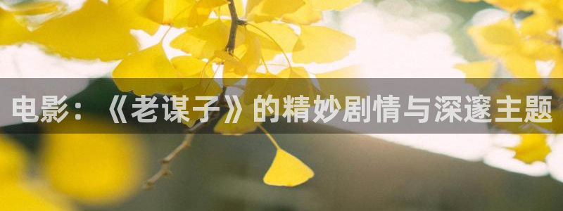 青苹果电影完整：电影：《老谋子》的精妙剧情与深邃主题
