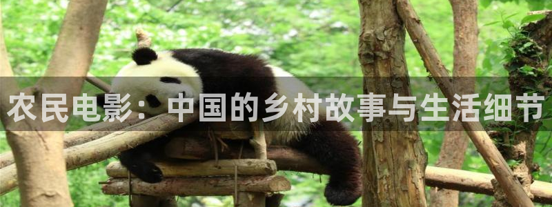 青苹果影院网站：农民电影：中国的乡村故事与生活细节