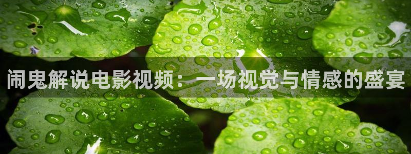 青苹果影视yy：闹鬼解说电影视频：一场视觉与情感的盛宴