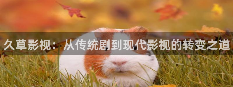 ay44青苹果影视：久草影视：从传统剧到现代影视的转变之道