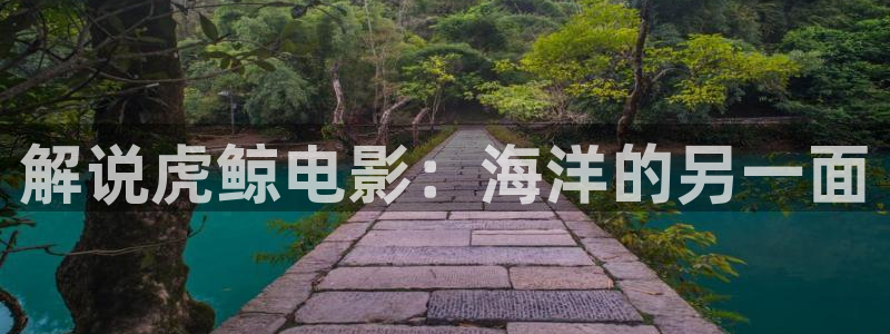 4800青苹果影院：解说虎鲸电影：海洋的另一面