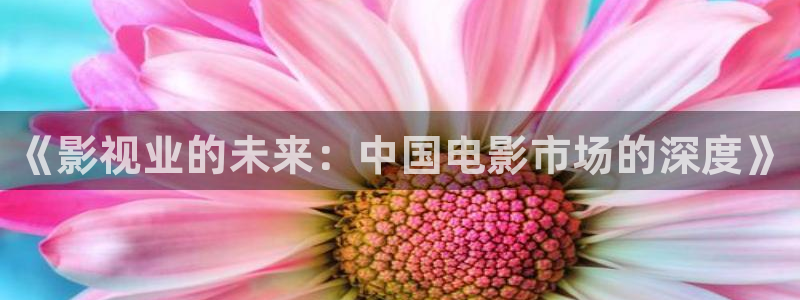y青苹果影院：《影视业的未来：中国电影市场的深度》