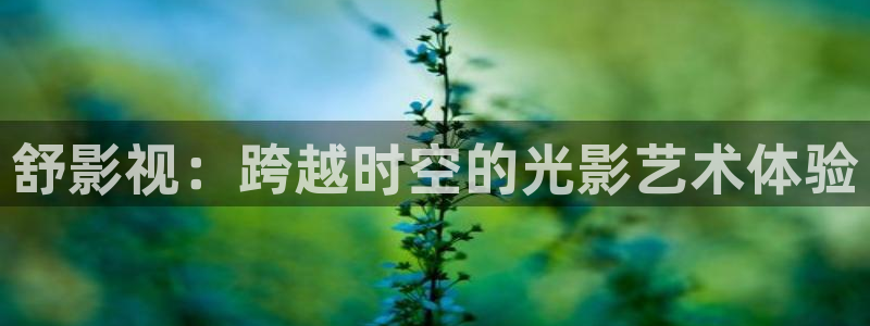 青苹果乐园影院yy6090：舒影视：跨越时空的光影艺术体验