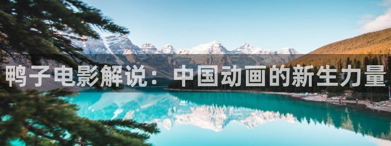 青苹果影院yy8090：鸭子电影解说：中国动画的新生力量