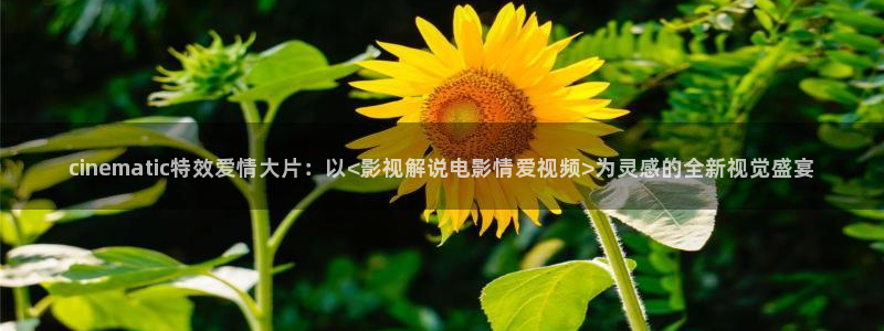 青苹果影院免费观看：cinematic特效爱情大片：以<影视解说电影情爱视频>为灵感的全新视觉盛宴