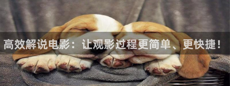 yy4480青苹果影视院：高效解说电影：让观影过程更简单、更快捷！