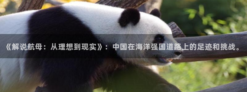 青苹果乐园在线观看播放最新：《解说航母：从理想到现实》：中国在海洋强国道路上的足迹和挑战。