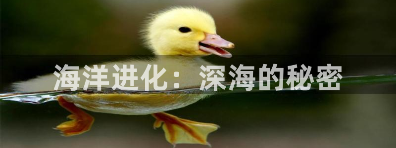 青苹果糖心：海洋进化：深海的秘密